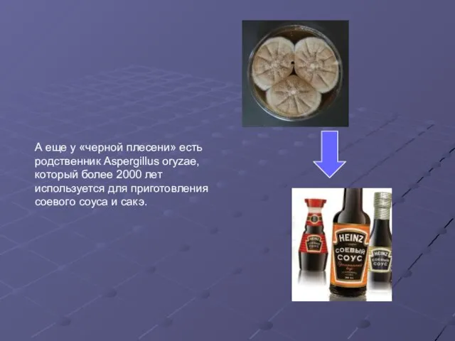 А еще у «черной плесени» есть родственник Aspergillus oryzae, который более 2000