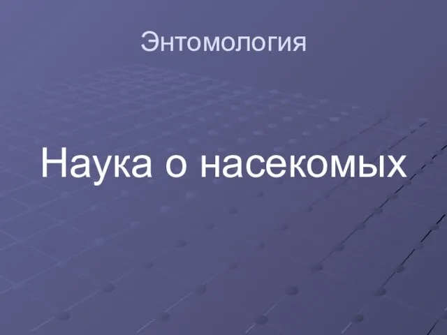 Энтомология Наука о насекомых