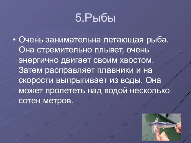 5.Рыбы Очень занимательна летающая рыба. Она стремительно плывет, очень энергично двигает своим