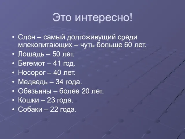 Это интересно! Слон – самый долгоживущий среди млекопитающих – чуть больше 60