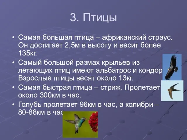 3. Птицы Самая большая птица – африканский страус. Он достигает 2,5м в