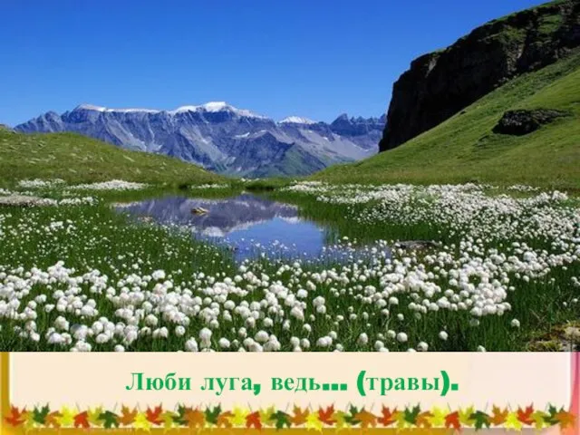 Люби луга, ведь… (травы).