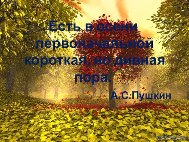 Есть в осени первоначальной короткая, но дивная пора. А.С.Пушкин