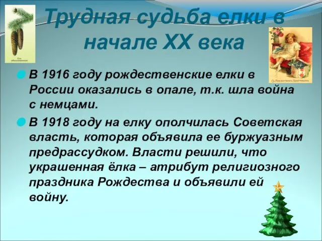 Трудная судьба елки в начале XX века В 1916 году рождественские елки