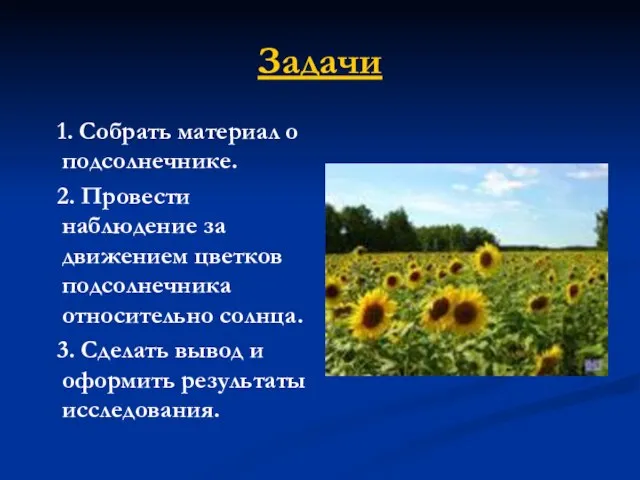 Задачи 1. Собрать материал о подсолнечнике. 2. Провести наблюдение за движением цветков