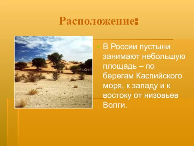 Расположение: В России пустыни занимают небольшую площадь – по берегам Каспийского моря,