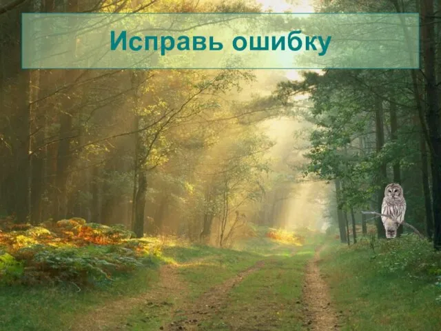 Исправь ошибку