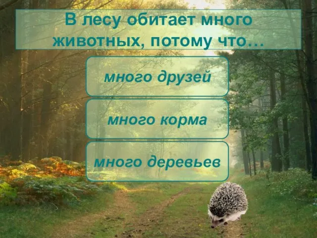 В лесу обитает много животных, потому что… много корма много друзей много деревьев