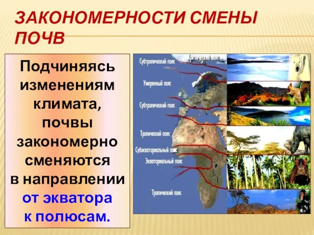 Закономерности смены почв Подчиняясь изменениям климата, почвы закономерно сменяются в направлении от экватора к полюсам.