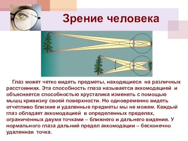 Зрение человека Глаз может четко видеть предметы, находящиеся на различных расстояниях. Эта