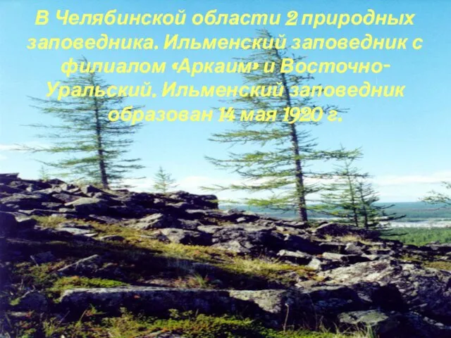 В Челябинской области 2 природных заповедника. Ильменский заповедник с филиалом «Аркаим» и