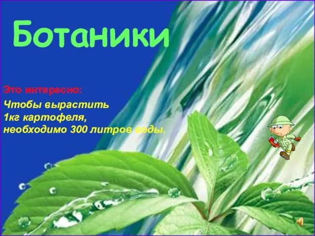 Ботаники Это интересно: Чтобы вырастить 1кг картофеля, необходимо 300 литров воды.