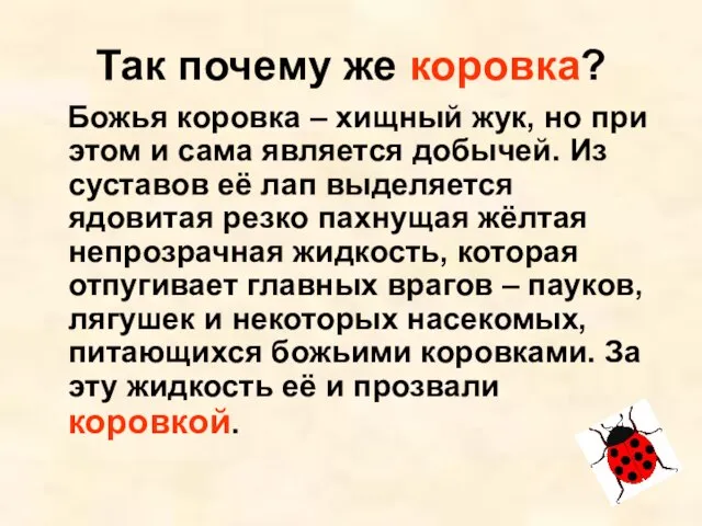 Так почему же коровка? Божья коровка – хищный жук, но при этом