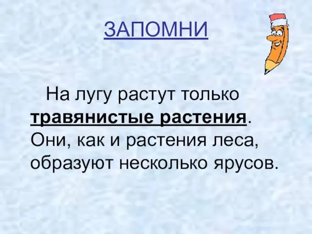 ЗАПОМНИ На лугу растут только травянистые растения. Они, как и растения леса, образуют несколько ярусов.