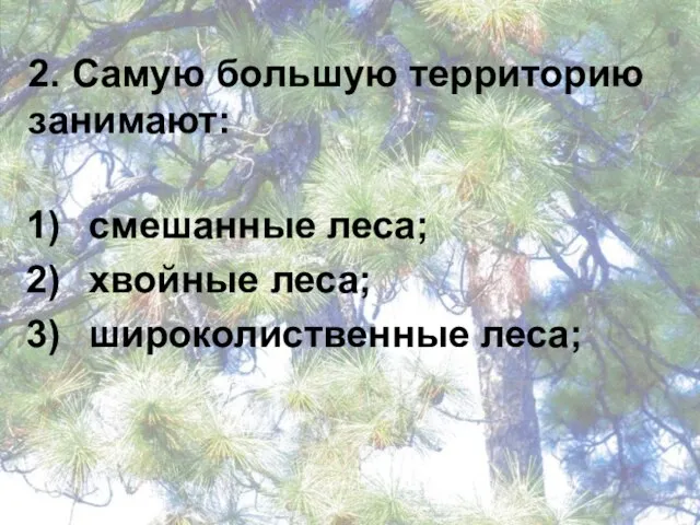 2. Самую большую территорию занимают: смешанные леса; хвойные леса; широколиственные леса;