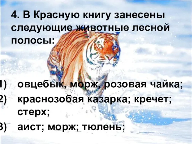 4. В Красную книгу занесены следующие животные лесной полосы: овцебык, морж, розовая