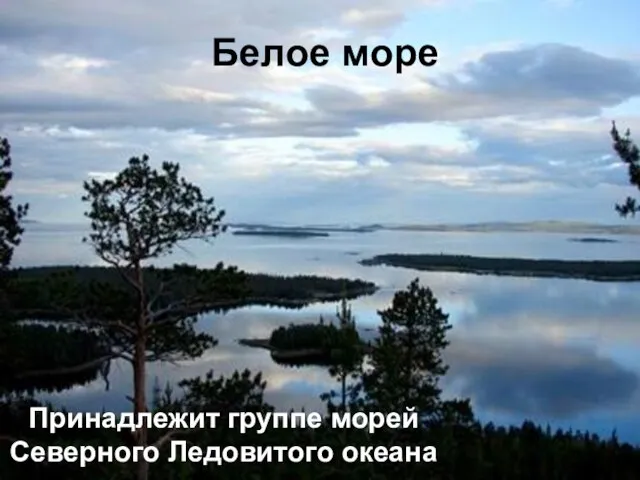 Белое море Принадлежит группе морей Северного Ледовитого океана