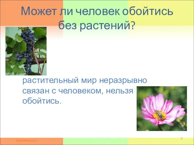 Может ли человек обойтись без растений? Гипотеза: растительный мир неразрывно связан с человеком, нельзя обойтись.