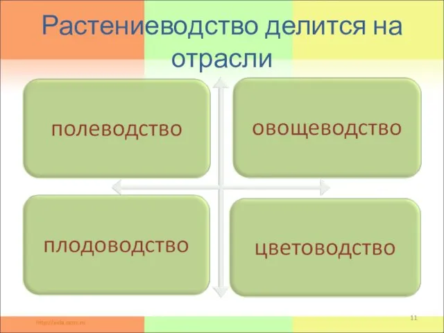 Растениеводство делится на отрасли