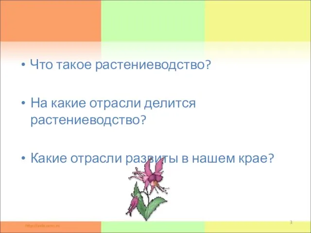 Что такое растениеводство? На какие отрасли делится растениеводство? Какие отрасли развиты в нашем крае? Проблемные вопросы