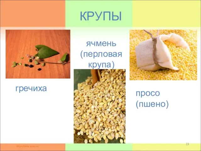 гречиха КРУПЫ ячмень (перловая крупа) просо (пшено)