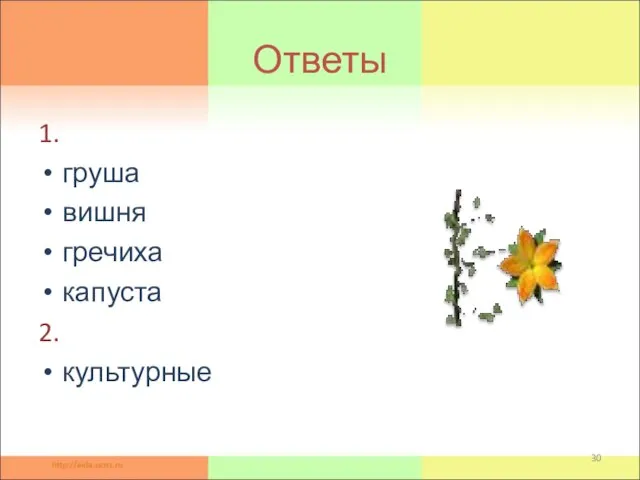 Ответы 1. груша вишня гречиха капуста 2. культурные