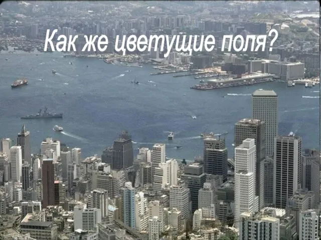 Как же цветущие поля?