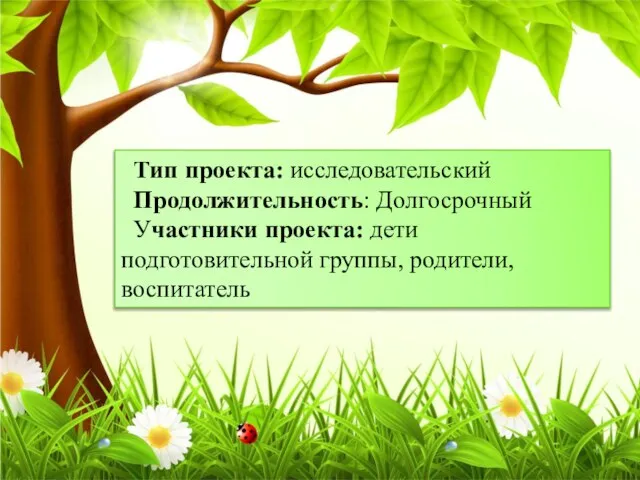 Тип проекта: исследовательский Продолжительность: Долгосрочный Участники проекта: дети подготовительной группы, родители, воспитатель