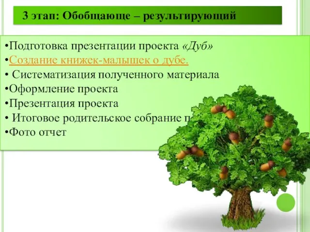 Подготовка презентации проекта «Дуб» Создание книжек-малышек о дубе. Систематизация полученного материала Оформление