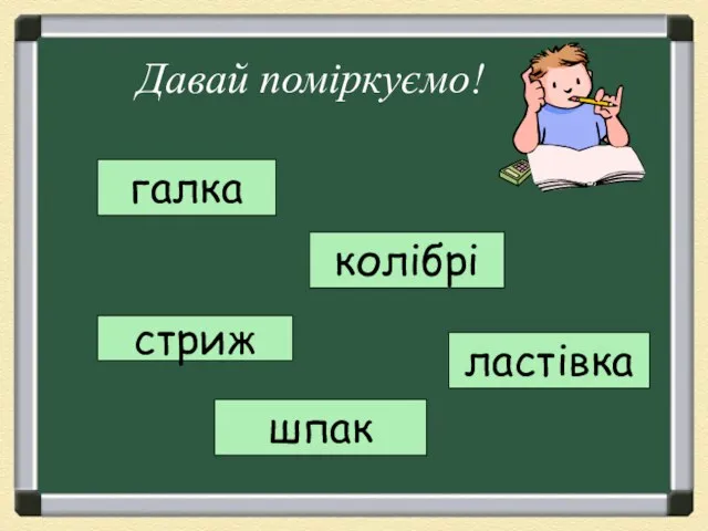 галка Давай поміркуємо! колібрі стриж ластівка шпак