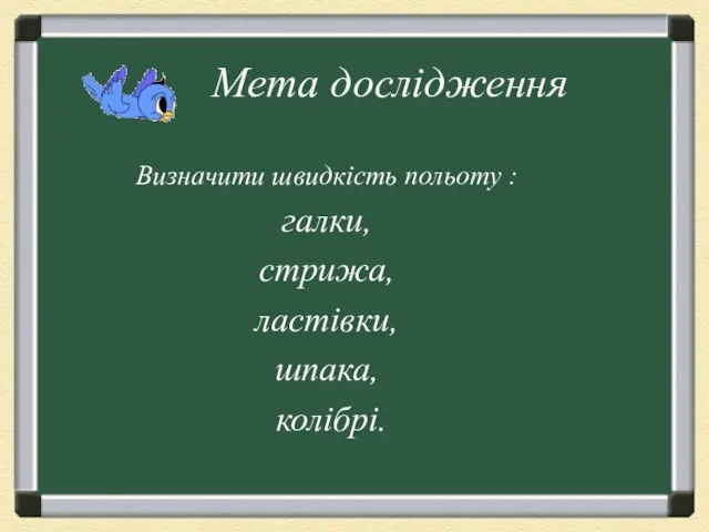 Мета дослідження Визначити швидкість польоту : галки, стрижа, ластівки, шпака, колібрі.