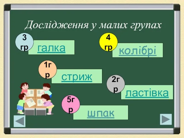 Дослідження у малих групах галка колібрі ластівка стриж шпак 2гр 5гр 1гр 3 гр 4 гр