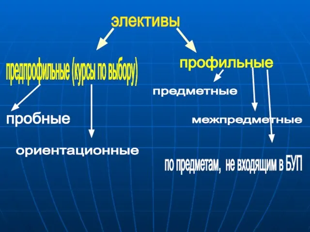 элективы предпрофильные (курсы по выбору) профильные пробные ориентационные предметные межпредметные по предметам, не входящим в БУП