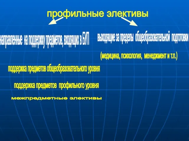 профильные элективы направленные на поддержку предметов, входящих в БУП выходящие за пределы