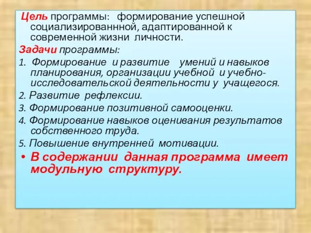 Цель программы: формирование успешной социализированнной, адаптированной к современной жизни личности. Задачи программы: