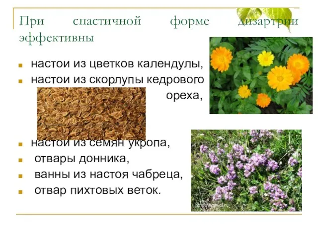 При спастичной форме дизартрии эффективны настои из цветков календулы, настои из скорлупы