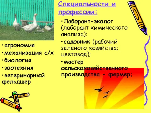 Специальности и профессии: агрономия механизация с/х биология зоотехния ветеринарный фельдшер Лаборант-эколог (лаборант