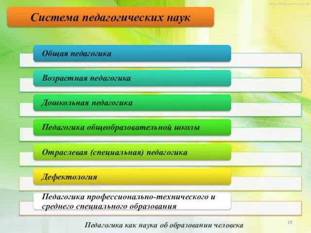 Система педагогических наук Педагогика как наука об образовании человека