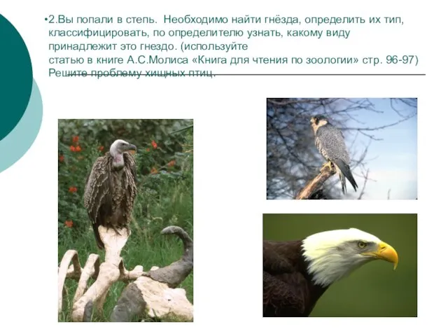 2.Вы попали в степь. Необходимо найти гнёзда, определить их тип, классифицировать, по