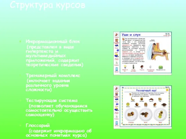 Структура курсов Информационный блок (представлен в виде гипертекста и мультимедийных приложений, содержит