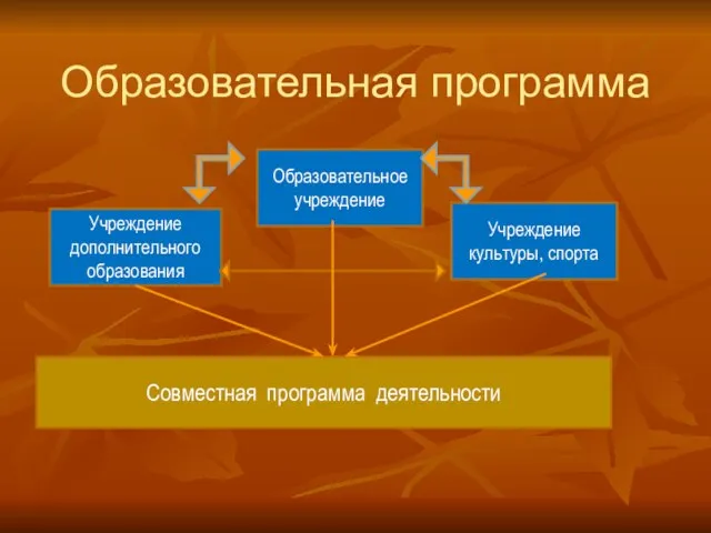 Образовательная программа