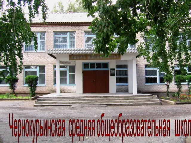 Чернокурьинская средняя общеобразовательная школа
