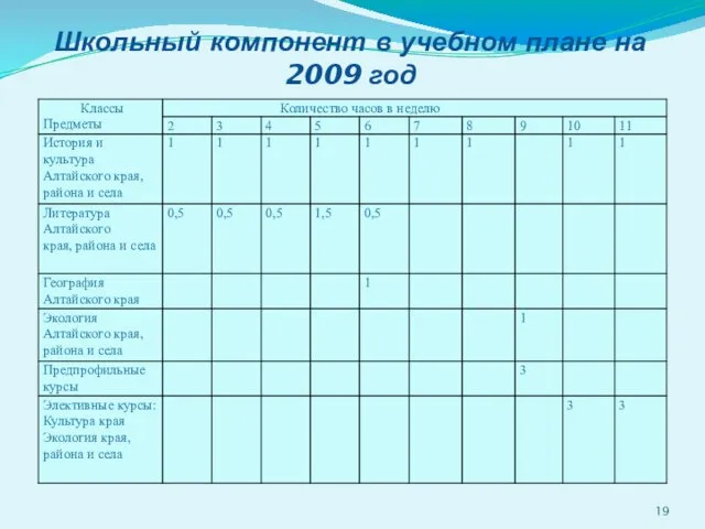 Школьный компонент в учебном плане на 2009 год