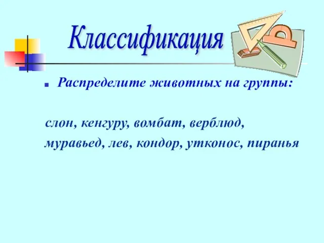 Распределите животных на группы: слон, кенгуру, вомбат, верблюд, муравьед, лев, кондор, утконос, пиранья Классификация