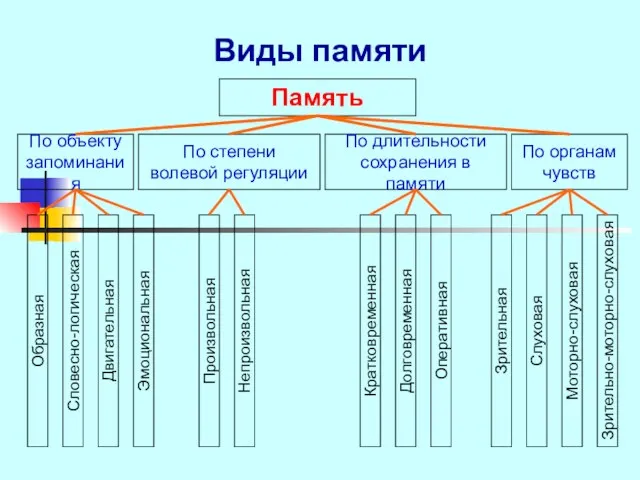 Виды памяти Память По объекту запоминания По степени волевой регуляции По длительности