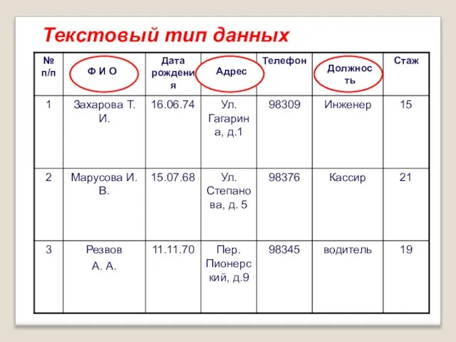 Текстовый тип данных Ф И О Адрес Должность