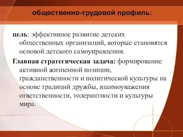 общественно-трудовой профиль: цель: эффективное развитие детских общественных организаций, которые становятся основой детского