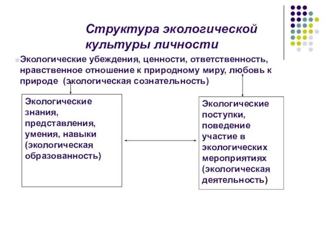 Структура экологической культуры личности Экологические убеждения, ценности, ответственность, нравственное отношение к природному