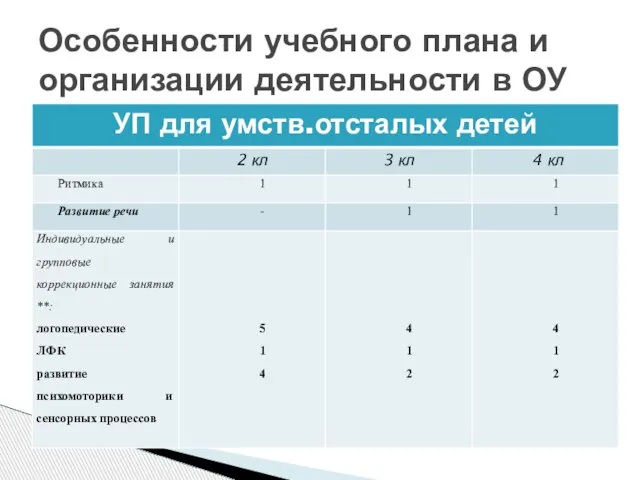 Особенности учебного плана и организации деятельности в ОУ