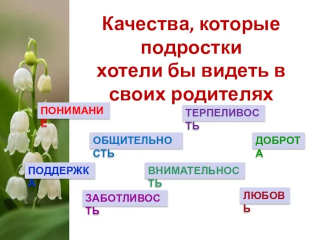 Качества, которые подростки хотели бы видеть в своих родителях ПОНИМАНИЕ ОБЩИТЕЛЬНОСТЬ ТЕРПЕЛИВОСТЬ